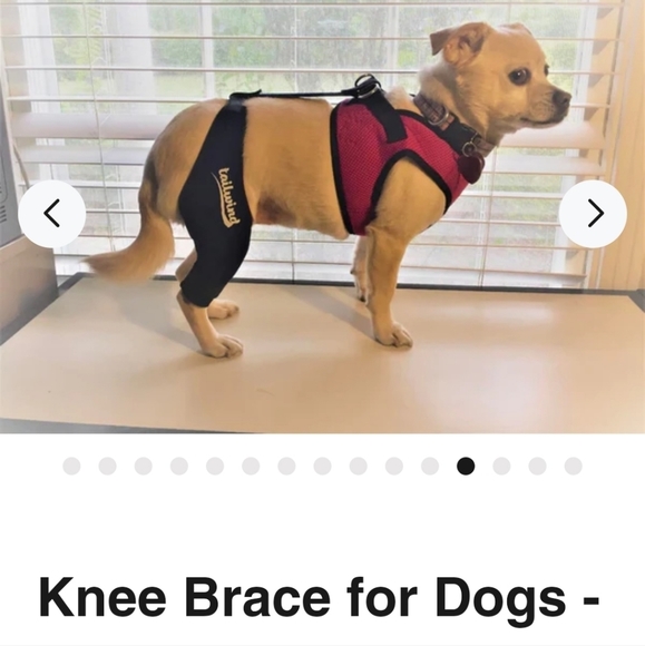 Tailwinds Dog Tailwind Double Knee Brace For Small Dogs Acl Or Just Knew Support Size Xs